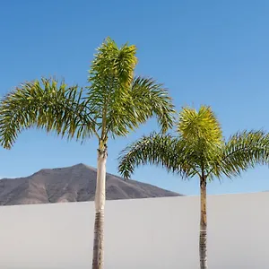 villa-alay.in-canary-islands.com/
